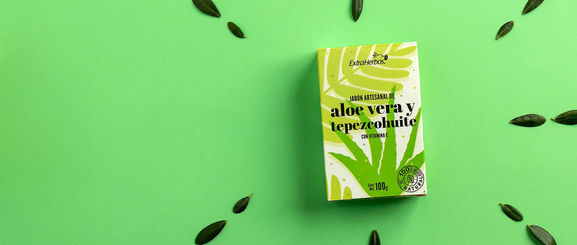 Cover-Aloe-Vera-Tepezcohuite